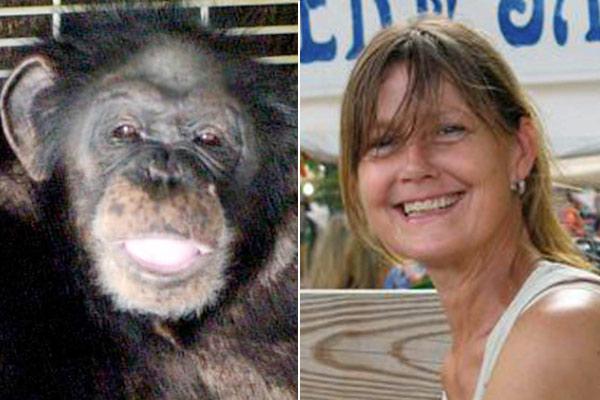 Chimpanzé de estimação ataca e desfigura mulher completamente-0